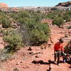 On the trail to Upheaval Dome Overlook