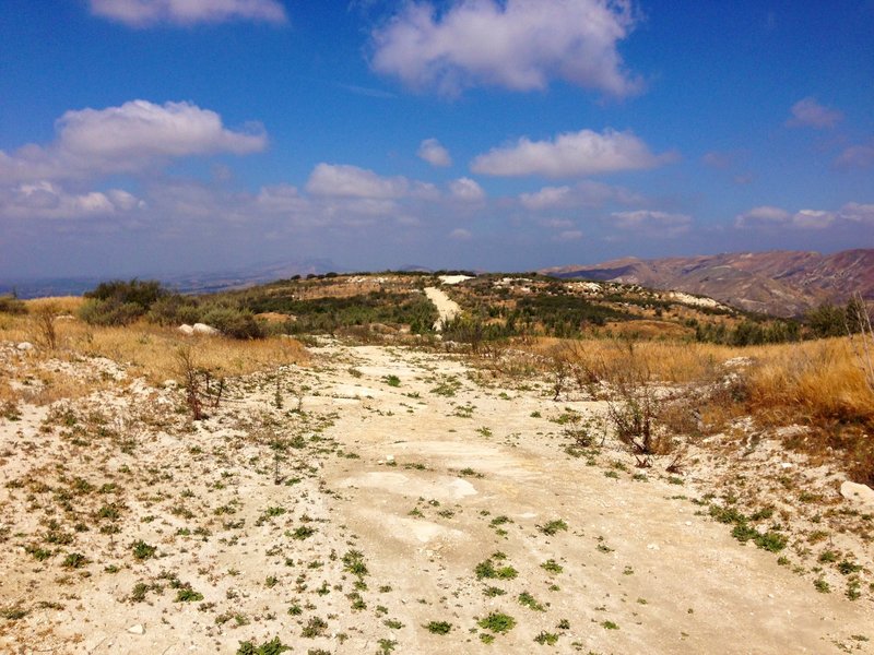 The fire trail along the ridgeline. A little rough but more than adequate.