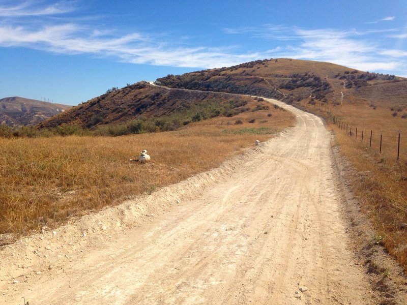 Don't miss the turn off the dirt road to the singletrack trail.