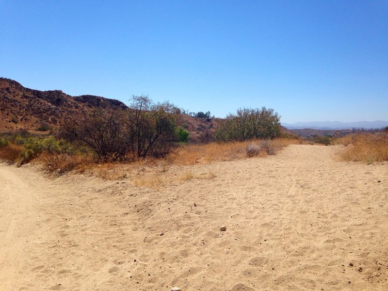 A three way split in the trail. You can clearly see the left one, and the right is off to the right side of this frame. Take the middle one to get home!