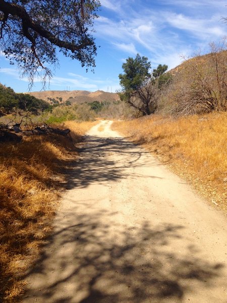 Plenty of spots to have a short break in the shade.