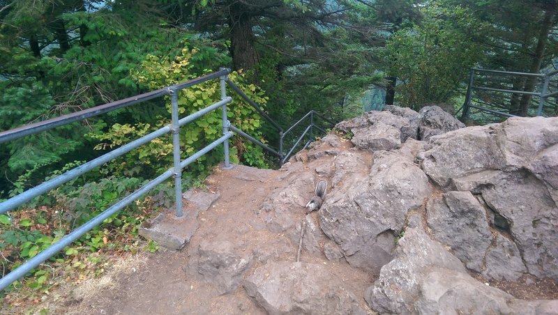 The rugged Beacon Rock Trail.