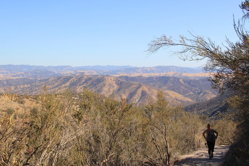 Sightseeing over Pinnacles East