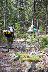 Raven Ridge Trail