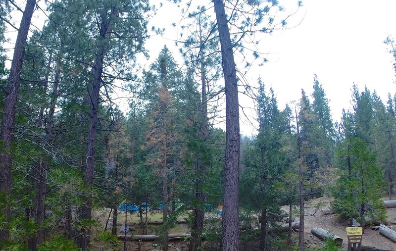 Coming into Cooper Canyon Trail Camp. A large area with great amenities.