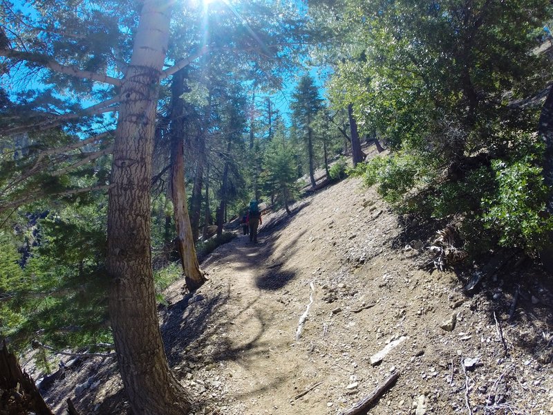 The climb to Buckhorn Campground