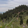 At the top of the ridge, overlooking the Zorro Trail.