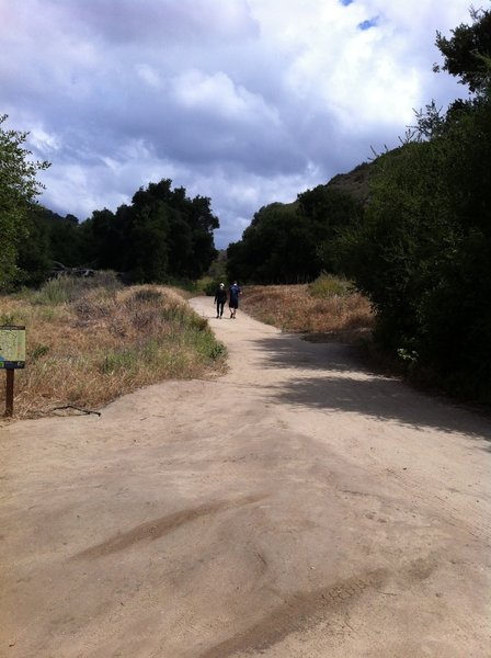 Wood Canyon Trail