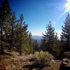 Some great views in between the trees at Sheep Camp.