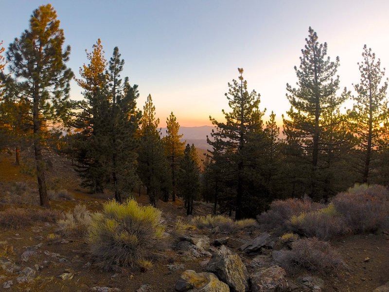 The sunset views are amazing from Sheep Camp.