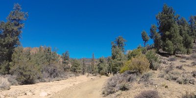 Another part of the trail, looking back.