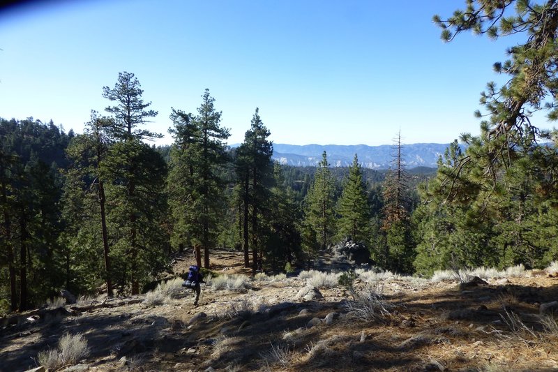 The descent out of Sheep Camp