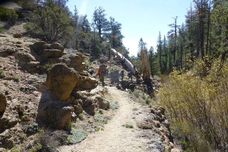 Starting into the canyon part of the hike down.