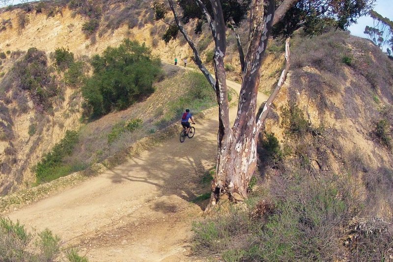 Up and down Skyline Trail on wheels or by foot