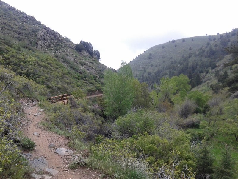 Looking back down the Apex trial after crossing  one of the bridges.