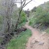 Going up the Apex Trail.