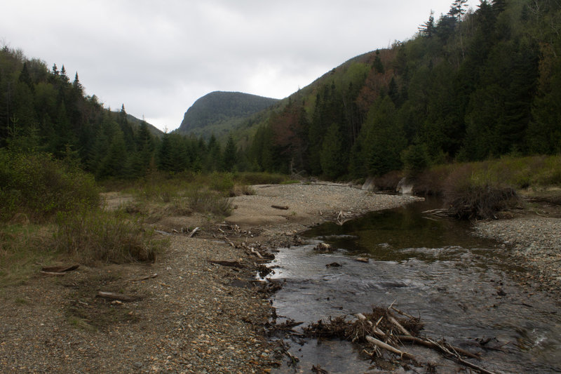 View from down the trail to the right of the Scott Pond sign