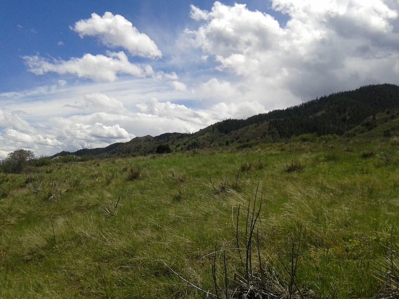 Gorgeous view of the foothills