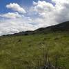 Gorgeous view of the foothills