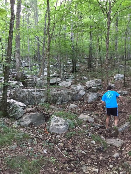 Rock filled start to the Red Lizard Trail