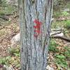 Cool spray painted Red Lizards that mark the trail