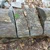 Man made tread on a fallen tree