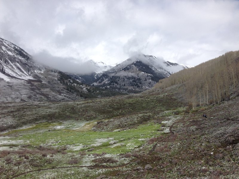 Looking northwest at the start of the Lupine Trail.