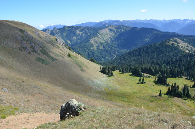 From one of the last switchbacks on the Hurricane Hill Trail