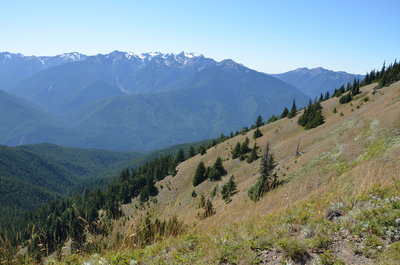 Wonderful views along the Hurricane Ridge