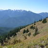 Wonderful views along the Hurricane Ridge