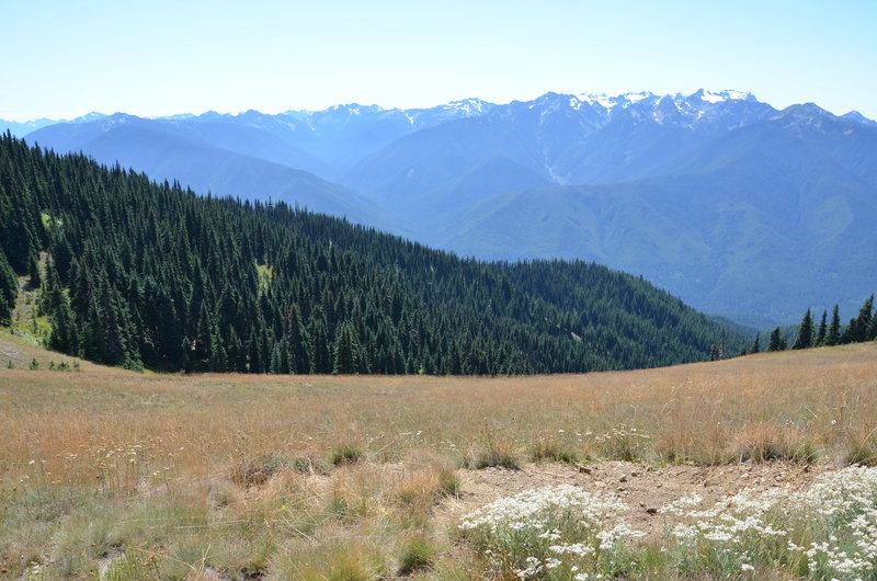 Meadow views across huge valleys