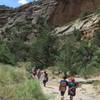 A 3rd grade class enjoys a spring field trip into Echo Canyon