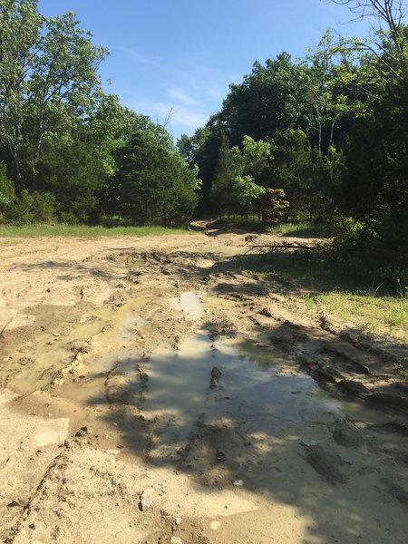 Muddy open lot at the start of the Flat Rock Trail