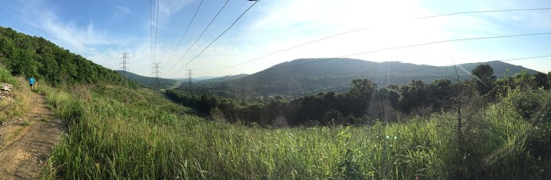 View of the Appalachian foothills from the Flat Rock Trail.