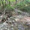 Creek crossing on Flat Rock Trail