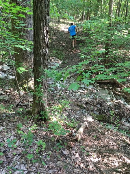 Incline on Flat Rock Trail