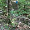 Incline on Flat Rock Trail