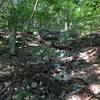 Dry waterfall on Flat Rock Trail