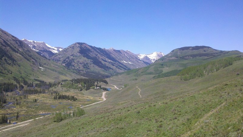 Just before the downhill on the Lupine Trail