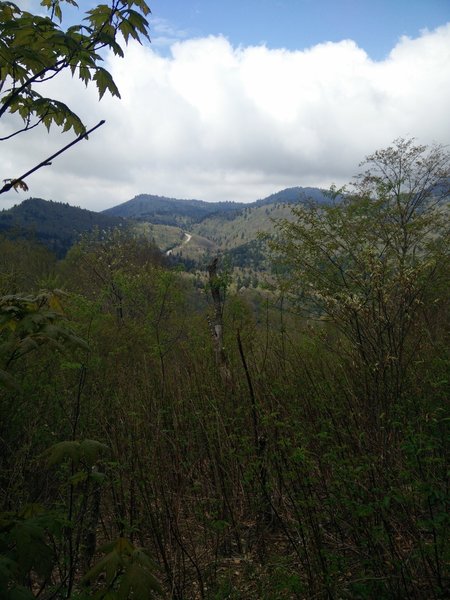 View of the valley from a meadow.