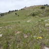 Typical Hogback Trail terrain looking uphill to the west