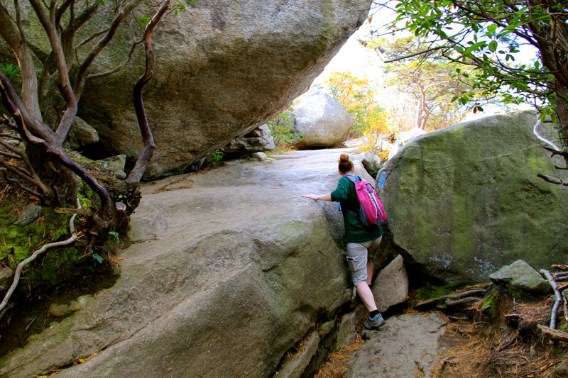 Rock boulders begins