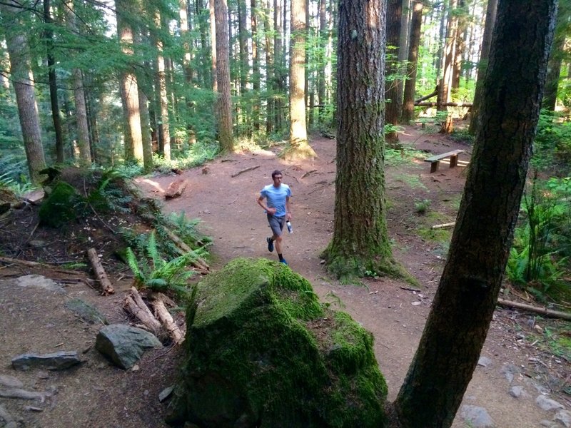 More gorgeous trail up Mt. Si