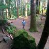 More gorgeous trail up Mt. Si