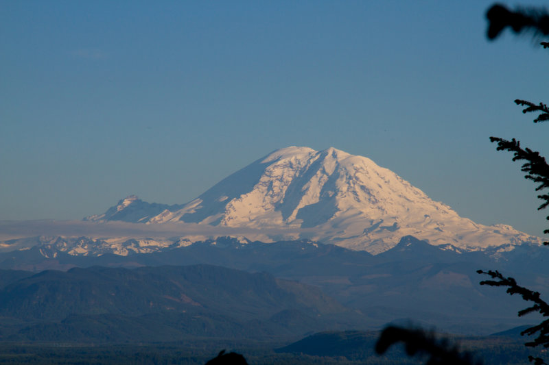 Mt. Rainier seen from Tiger Mountain