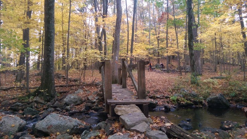 Bridge by the pond.