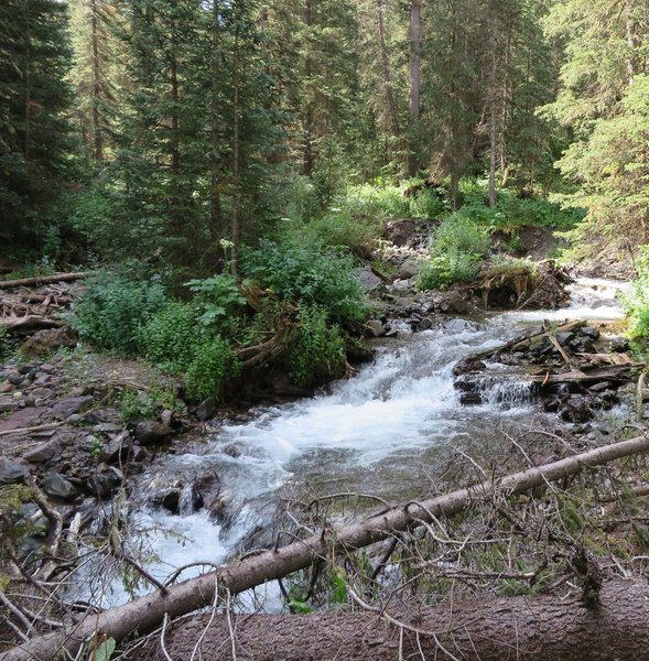 Wilson Creek tumbling down from Blaine Basin. The trail crosses this creek several times. Look for sturdy multiple log bridges