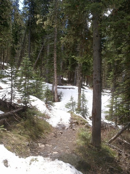 Still pretty snowy on the way to the lake, on May 29th!