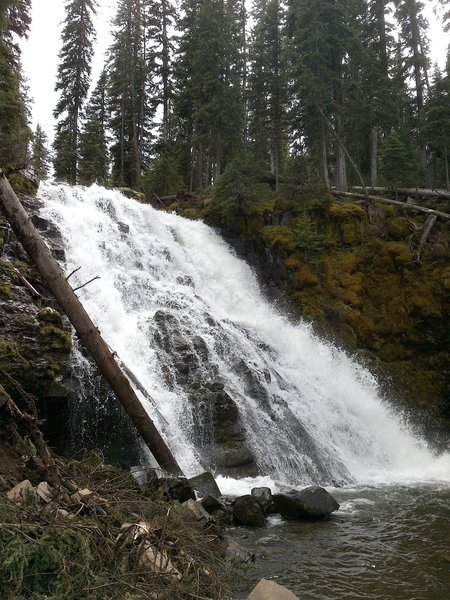 Quick waterfall view just off of Hyalite Creek Trail. Called Grotto Falls (maybe a 0.25 mile hike off the trail, via a small side trail)