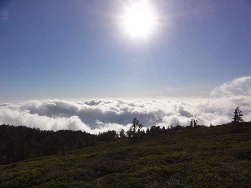 View from San Bernadino Trail